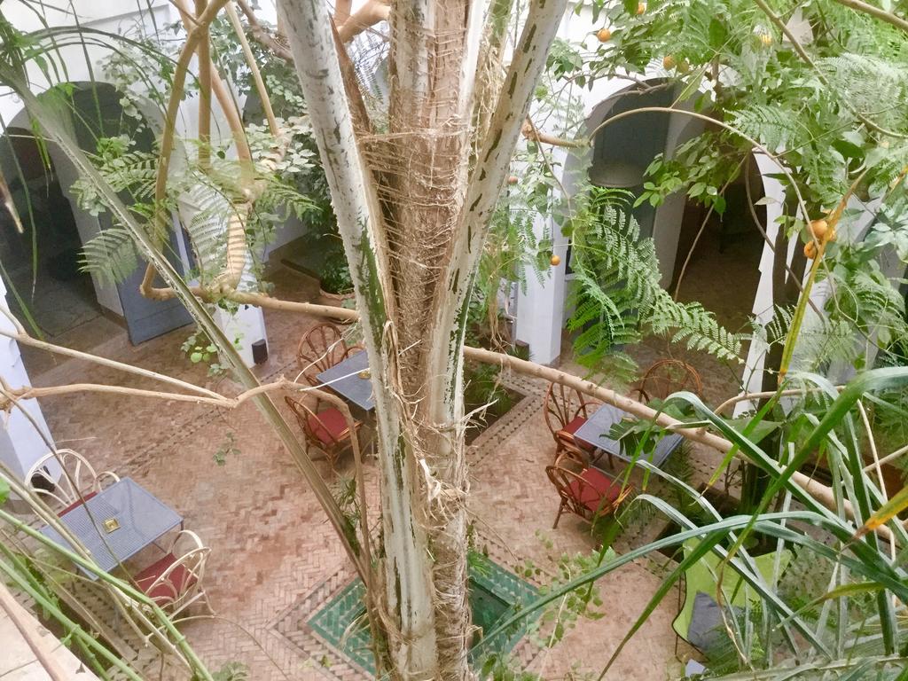 Dar Binebine Hotel Marrakesh Eksteriør billede