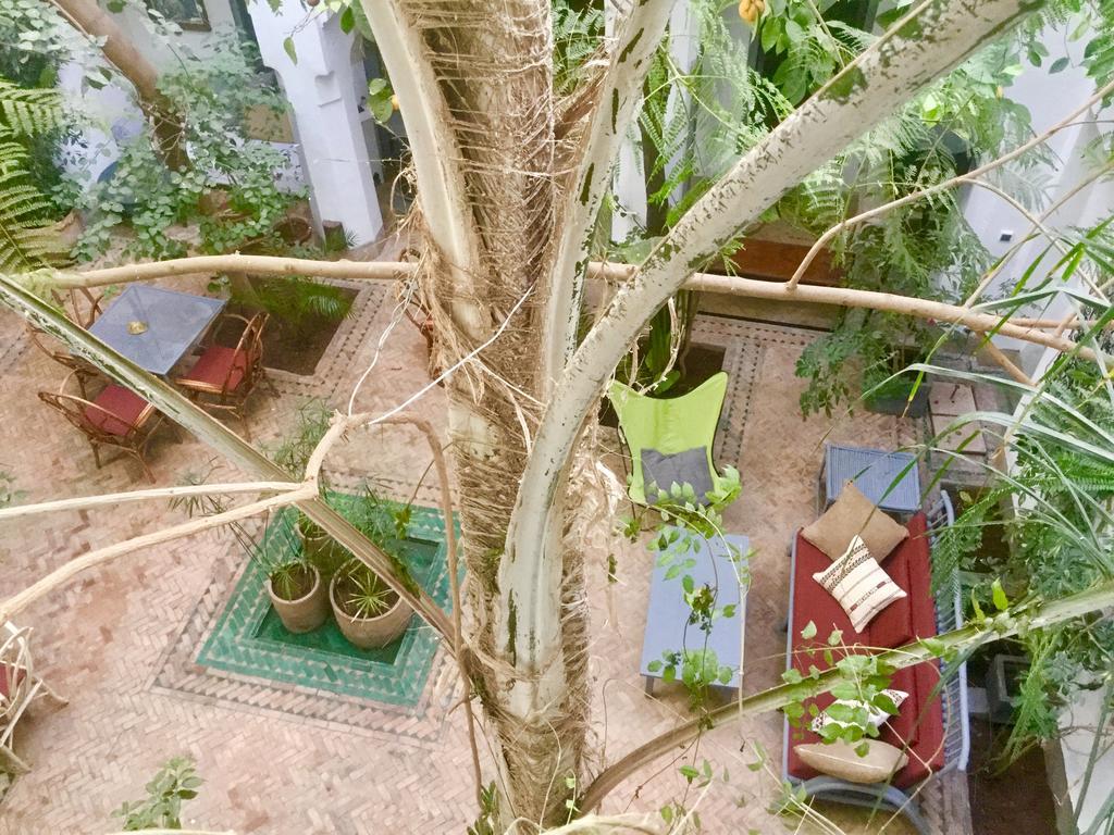 Dar Binebine Hotel Marrakesh Eksteriør billede